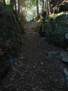 ravine cut through bedrock for a logging chute