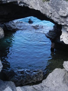 the Grotto