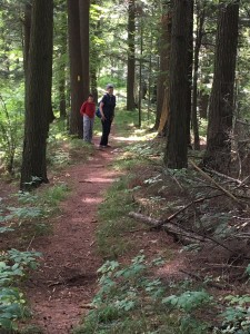 the Ice Age Trail along the top of an esker