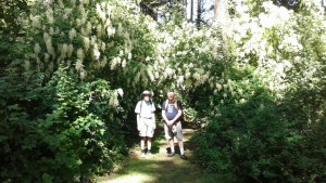 Paul & Gordon hiking amidst ocean spray blossoms